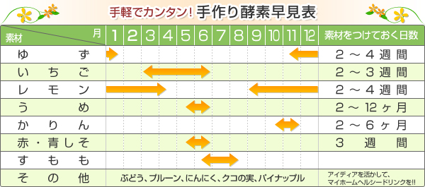 手軽でカンタン!手作り酵素早見表