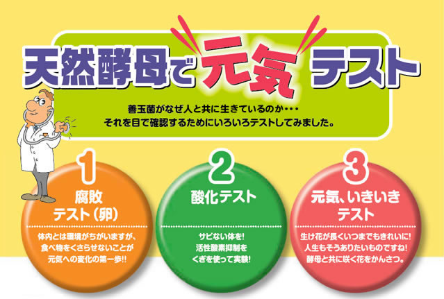 天然酵母で元気テスト